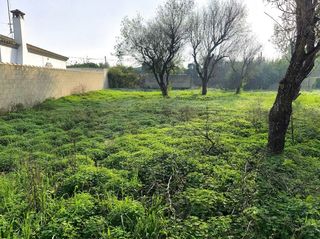 Finca rústica a Los Franceses - La Vega
