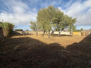 Finca rústica a Los Franceses - La Vega