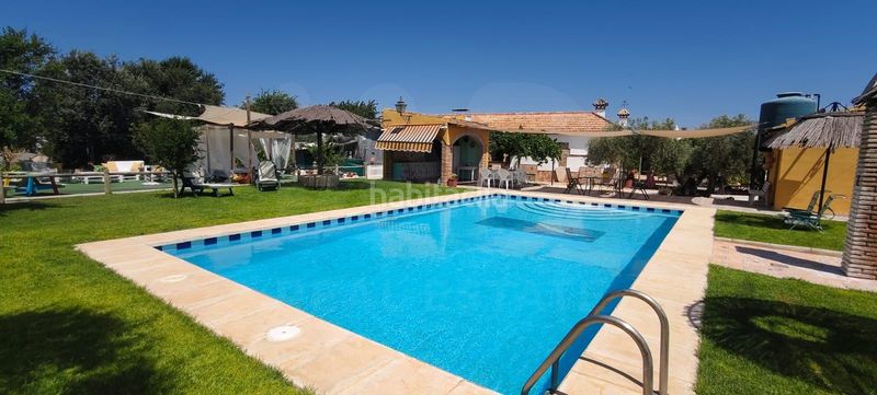 Foto 3373fe19-bf42-4b3e-999a-865b1700737e. Casa amb piscina a Écija