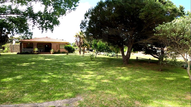 Foto b409c03f-7f50-4f06-8bd6-49eab5224485. Casa a El Cuartón - El Bujeo Tarifa