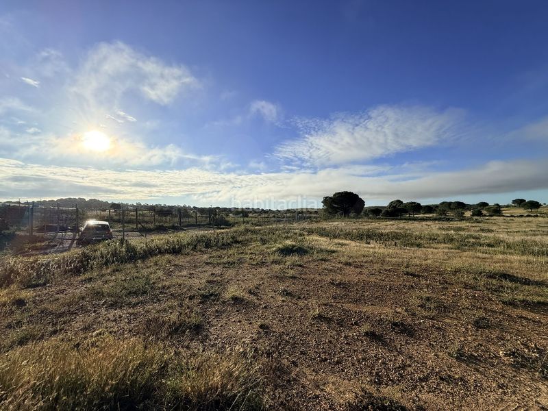 Foto d97f6929-36ff-440f-a2c2-90b96ec58061. Finca rústica a Villablanca