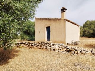 Fondo rustico in Aldover