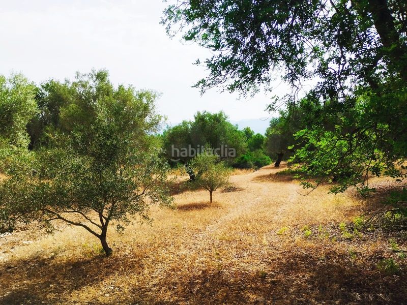 Foto 0b092c79-79d5-4a80-a3bd-52a4d79c99e9. Finca rústica a Aldover
