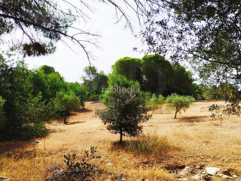 Foto 1a97f09b-6c75-43df-b83a-0596483a30c2. Finca rústica a Aldover