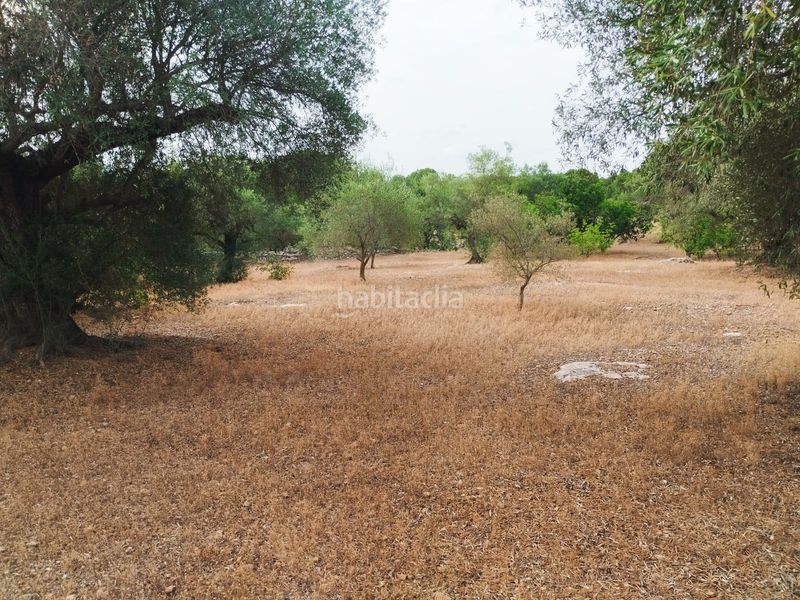 Foto 1e2b74ca-c7a5-4419-9a7d-8c582808107e. Finca rústica a Aldover