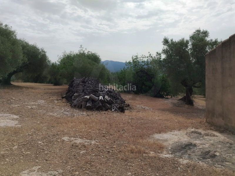 Foto 2046aa47-7e41-4869-b5fc-91e22a410bb5. Finca rústica a Aldover