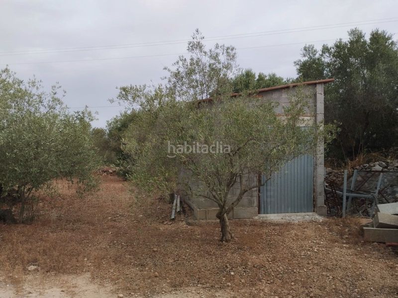 Foto 44386e1f-692b-491f-8fb4-e5ec60c43ab6. Finca rústica a Aldover