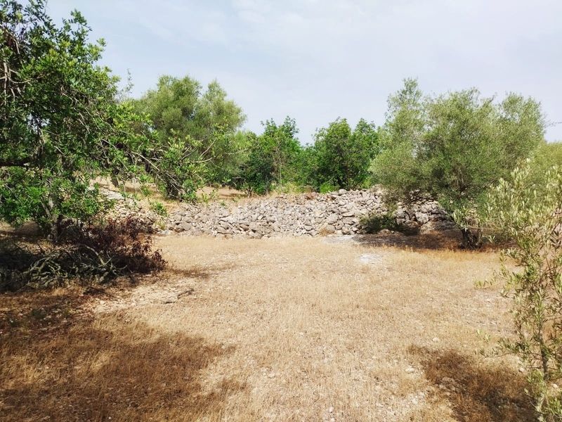 Foto 44d357f8-d6ec-4ae0-8507-fbe88a76a629. Finca rústica a Aldover