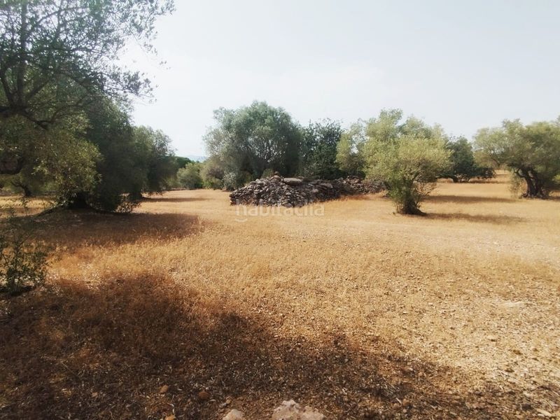Foto 4c9d3555-a715-4880-a7d7-77b10c1450d7. Finca rústica a Aldover