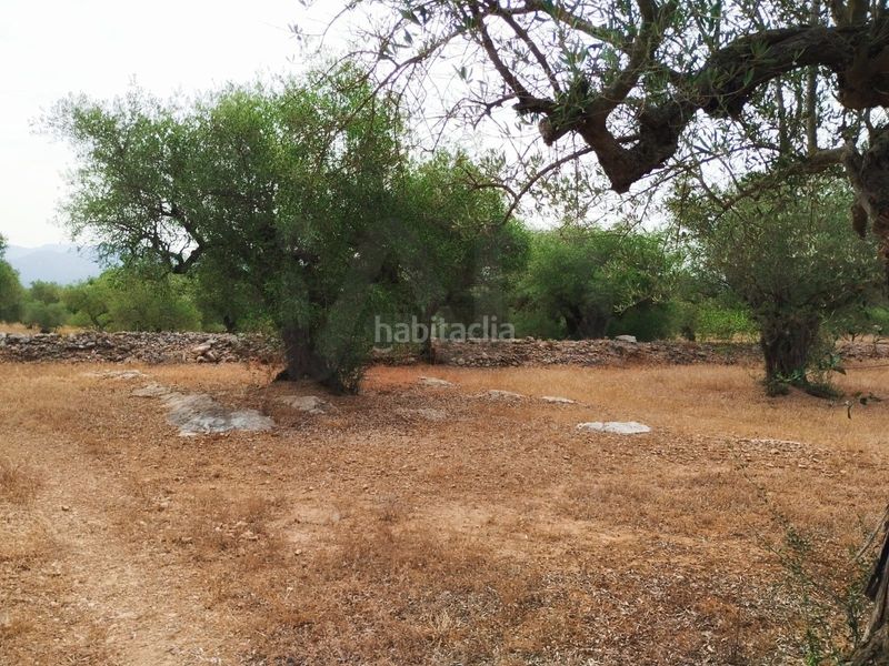 Foto 60581d51-231b-4b90-8b97-f16dd9acbcc0. Finca rústica a Aldover