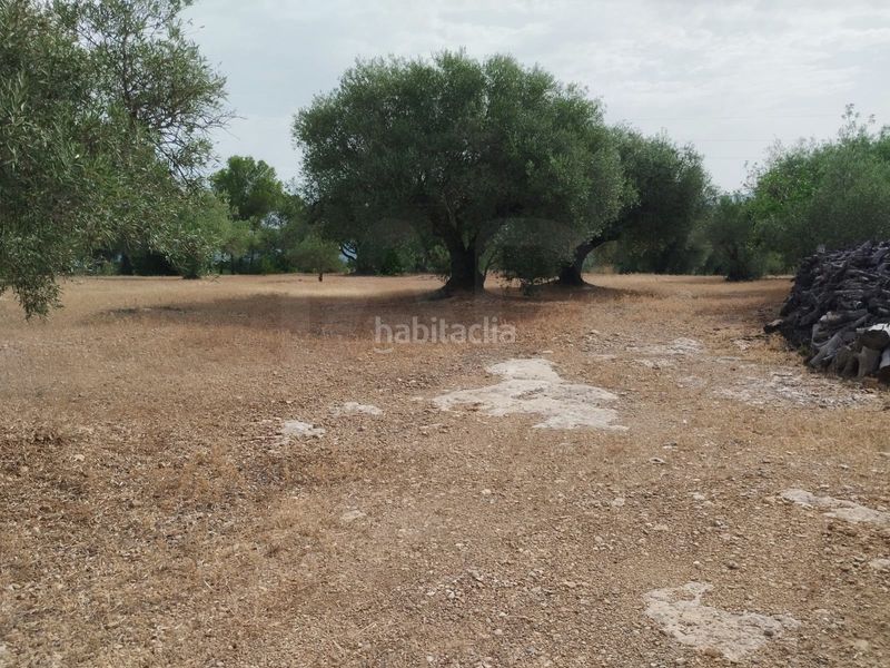 Foto 7f20c8b2-6538-44e9-852a-f5142258cc58. Finca rústica a Aldover