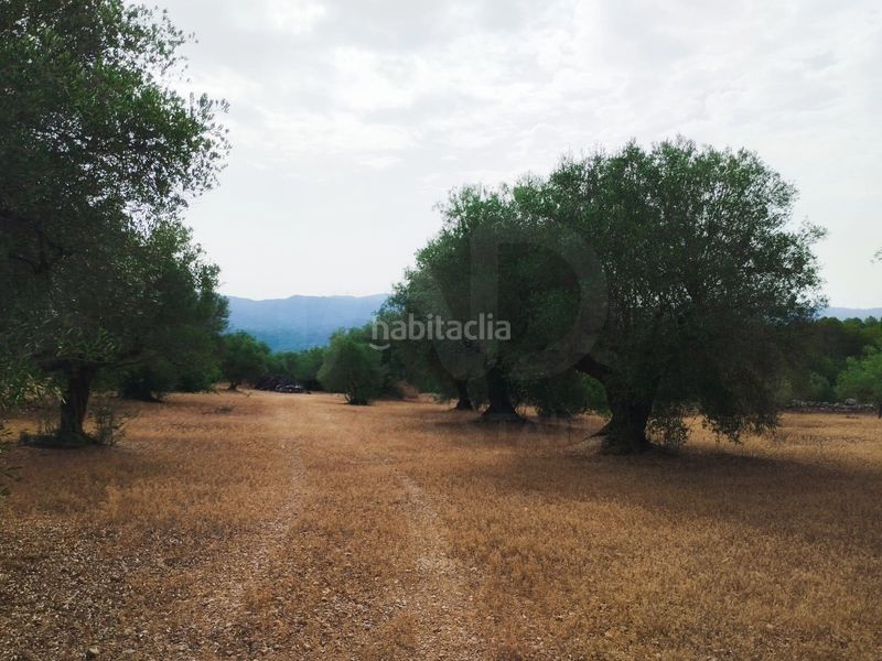 Foto bb400cb4-936a-4f75-94fa-3ec59624b765. Finca rústica a Aldover