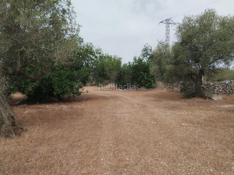 Foto cd0896ca-d72c-4832-a069-2f06a1718c32. Finca rústica a Aldover