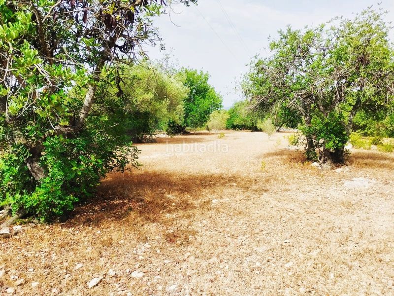 Foto cf65d8c6-6086-48f4-83d7-5560ae4f2ee9. Finca rústica a Aldover