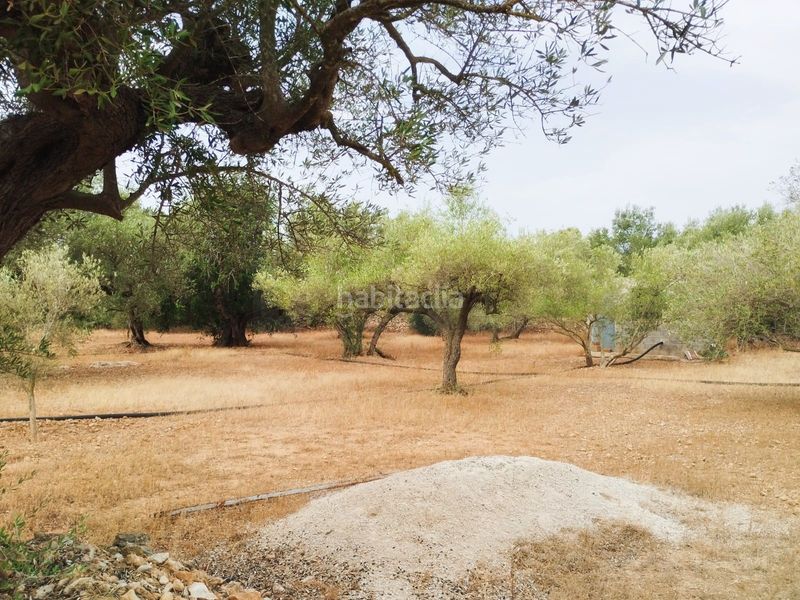 Foto d2bde395-a1b5-4cd5-a71e-139ef99c4abf. Finca rústica a Aldover