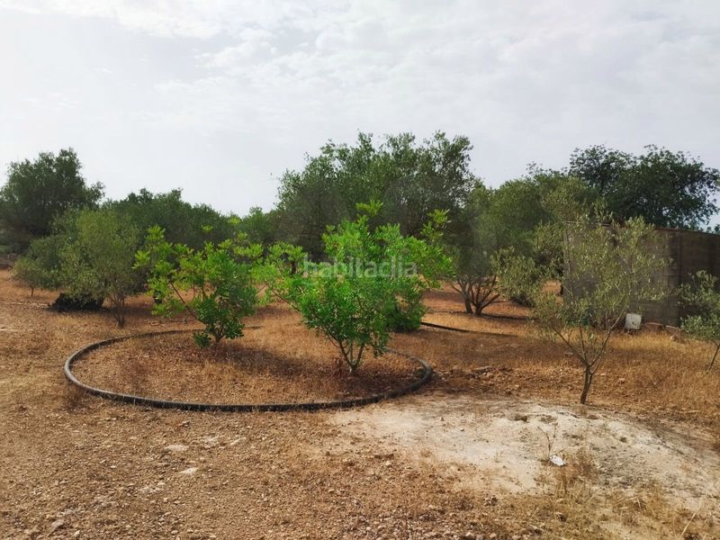 Foto dd6f2b6c-08a4-4b44-b726-e9e437bf6a52. Finca rústica a Aldover