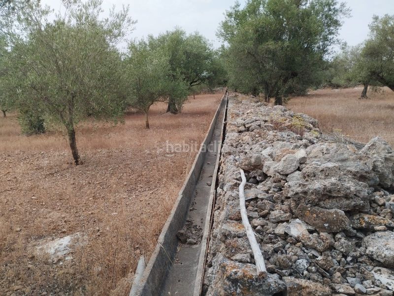 Foto e0791562-448c-4464-9a1f-44bde5556606. Finca rústica a Aldover
