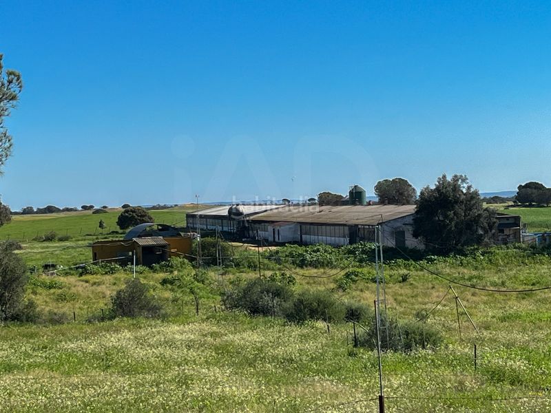 Foto 16970ff2-3886-4299-8c25-47502ede1262. Casa amb calefacció a Beas