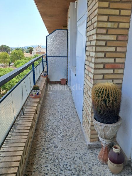 Foto 1101c720-b946-4ee7-9553-e7e57d1933e8. Pis a Orihuela ciudad Orihuela