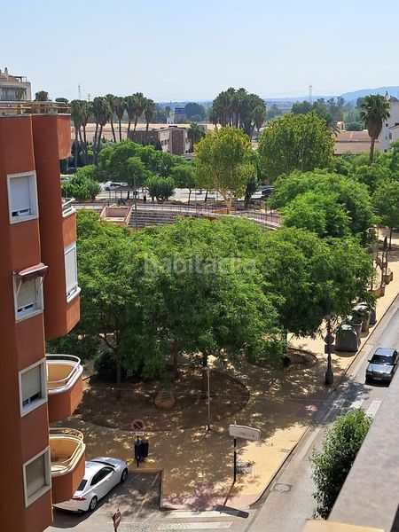 Foto 38c735a9-92d3-403e-8beb-6f415c44e052. Pis a Orihuela ciudad Orihuela