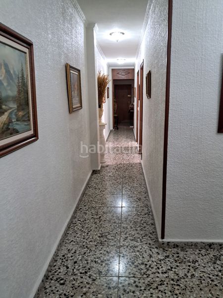 Foto da17d3a8-3b5d-441e-9270-2d2c72074895. Pis a Orihuela ciudad Orihuela