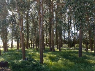 Fondo rustico in Aguilar de Campos