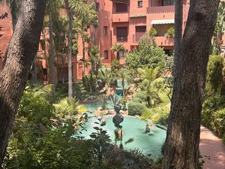 Estudi a Romana Playa