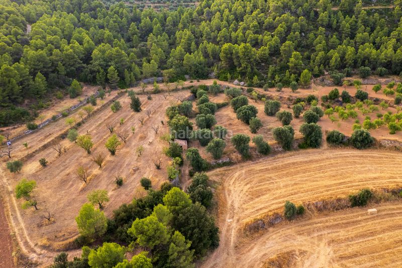 Foto b5d2ba6e-852f-442d-ad85-f4a93d475875. Finca rústica a Lledó