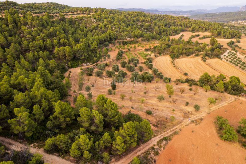 Foto d1bb298f-f0b3-41f3-90ec-2ad7331d18ab. Finca rústica a Lledó