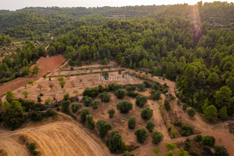 Foto de43ced9-57e1-46bf-bd82-4463e6e9f7ab. Finca rústica a Lledó