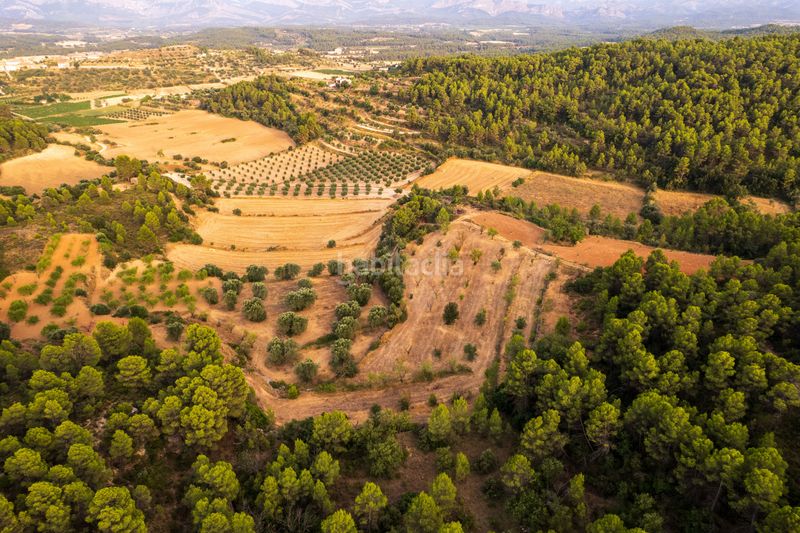 Foto df19e502-5364-4754-8676-2915653d2ca1. Finca rústica a Lledó