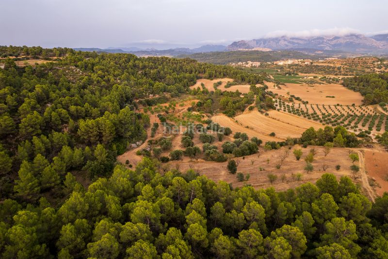 Foto e1bab406-b6eb-4daa-9fff-945b4fdb8a55. Finca rústica a Lledó