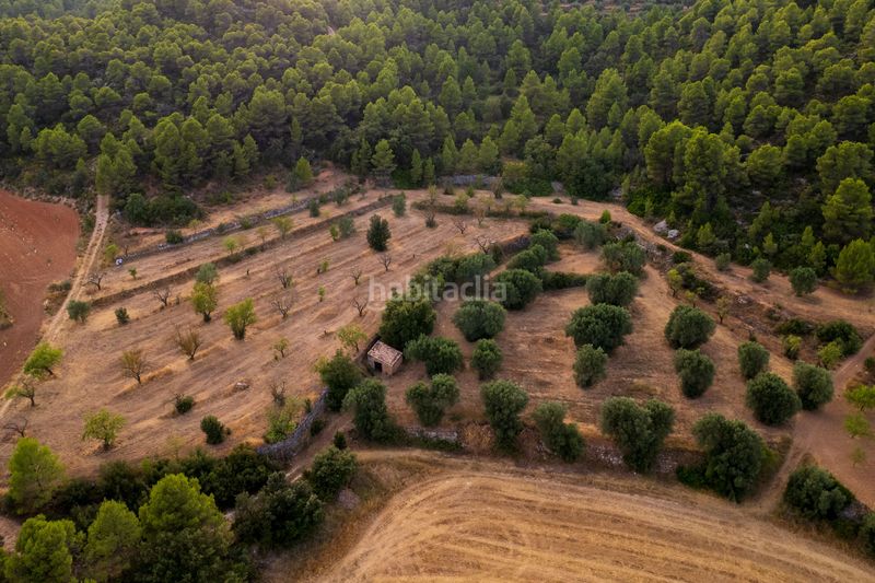 Foto e5ba24a8-5e36-466c-a088-8178b78747d2. Finca rústica a Lledó