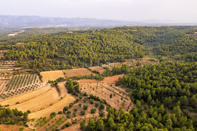 Foto f6eaf946-466d-40b2-9ce7-4ea32d8d4809. Finca rústica a Lledó