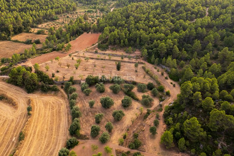 Foto f808d44b-6eb5-451e-a755-07d117dba536. Finca rústica a Lledó