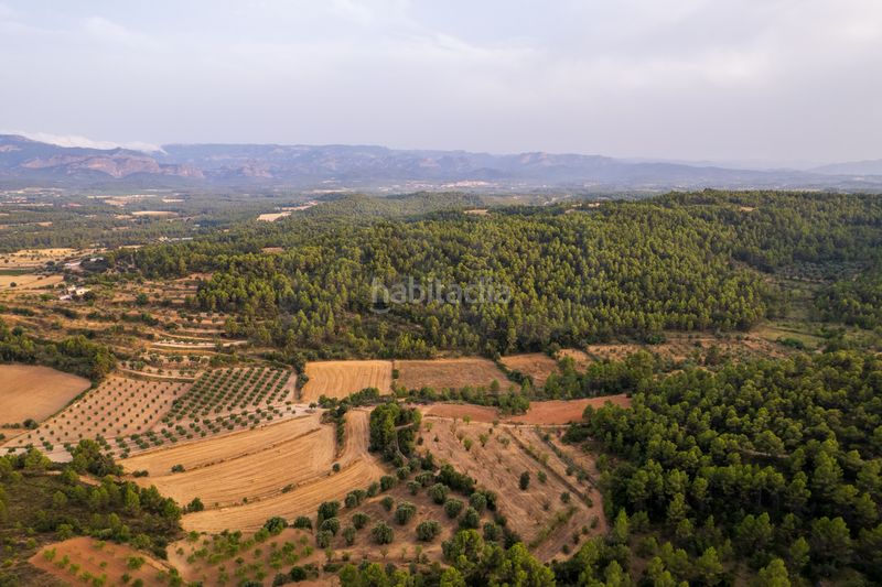 Foto fb21750f-8bea-4670-ae66-90e190644e89. Finca rústica a Lledó