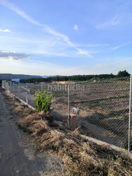Foto 00c0818a-7fc0-4ab8-a9c7-0a15b5f7fa5c. Finca rústica a Purullena