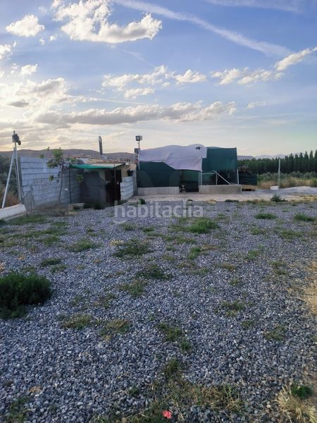 Foto 8edd1744-47f5-4bf8-a2a8-699827291883. Finca rústica a Purullena