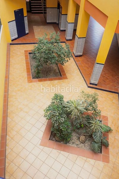Foto aa32b770-d12d-4c75-a93e-fdbfc4bca09e. Pis a Centro - Barriada Mallorca Camas