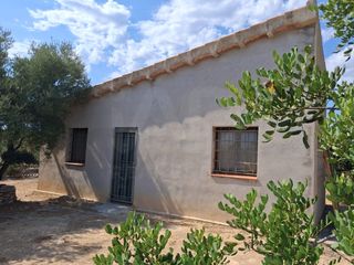Landgut in Perelló (El)