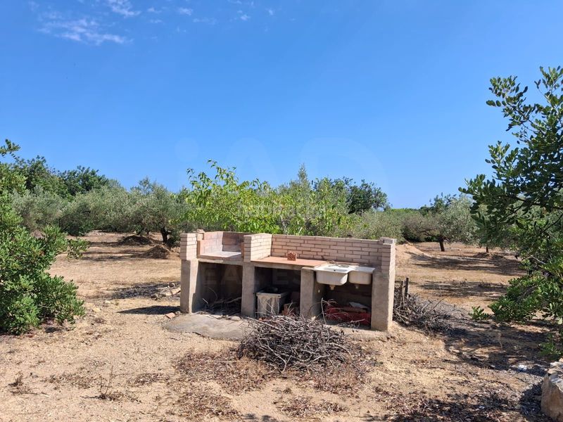 Foto 131aefd6-e777-4454-8033-af06f81f9c4f. Finca rústica a Perelló (El)