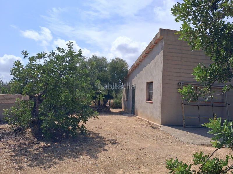 Foto 5647e7b5-f748-4273-a19b-a01e47d268ee. Finca rústica a Perelló (El)