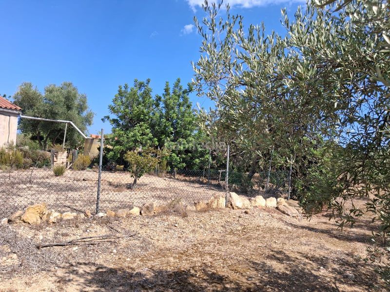 Foto 779070b0-0522-41c0-9b39-44fe0c44a8da. Finca rústica a Perelló (El)