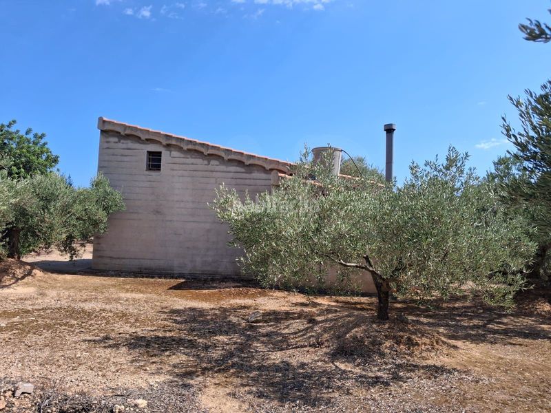 Foto 8157e548-f892-41fd-a185-01c2c69550ef. Finca rústica a Perelló (El)
