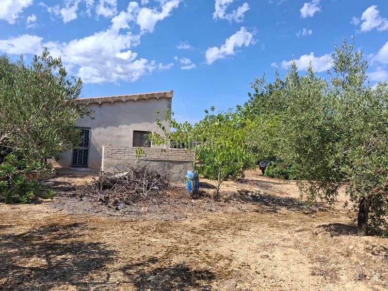 Foto 8223aaaf-a3c1-4e11-9e3d-fd0dd9218594. Finca rústica a Perelló (El)