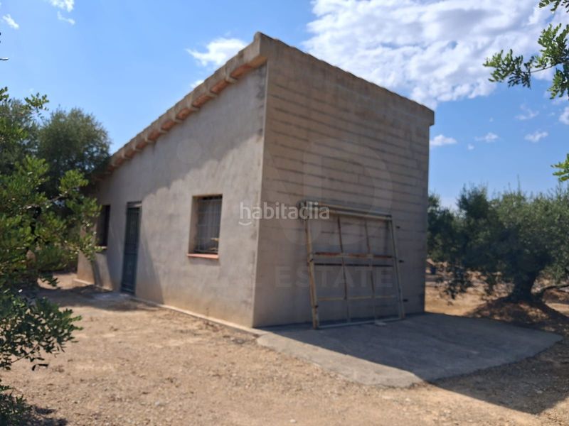 Foto 88e56ad8-e23a-41f5-bbf8-f0c5793b7c35. Finca rústica a Perelló (El)