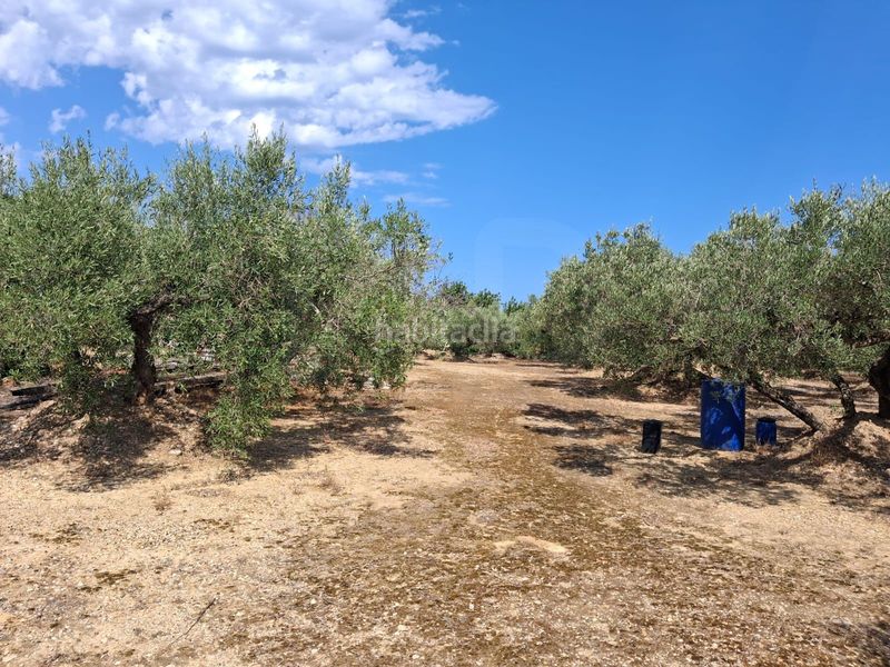 Foto c3bbb941-f65e-4eac-b8eb-a53bcce8a985. Finca rústica a Perelló (El)