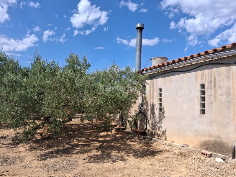 Foto cb0c70ab-a4cf-4ea1-8c9f-bc98a2e5b0a7. Finca rústica a Perelló (El)