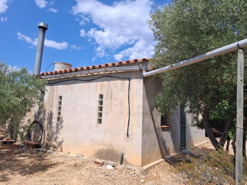 Foto e1f35820-7132-4412-ba64-2c59b69a8429. Finca rústica a Perelló (El)