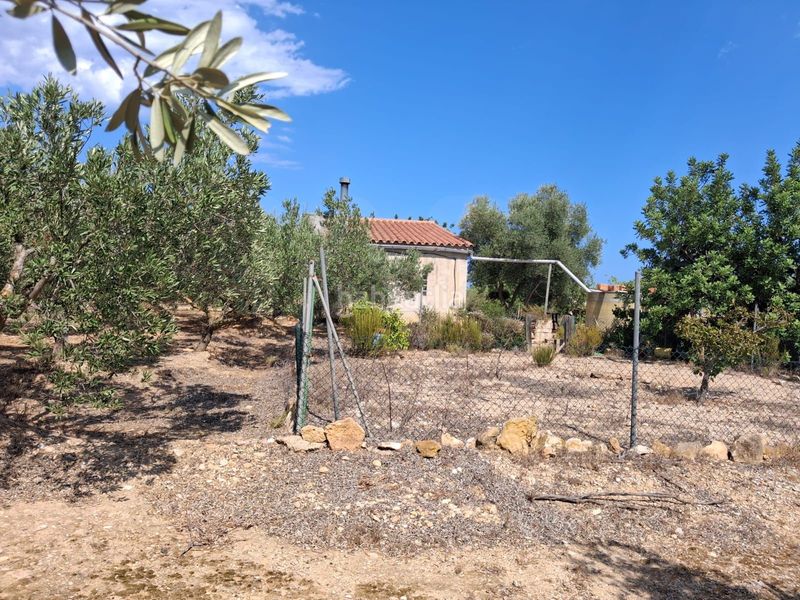 Foto f320e262-c03b-41b5-ae9c-69db7bb15f30. Finca rústica a Perelló (El)